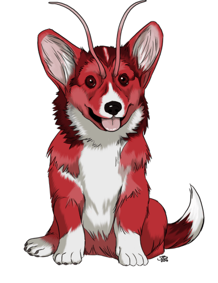Corgi